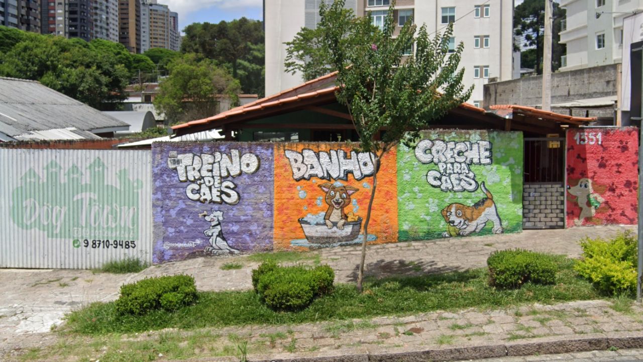 creche para cachorro Dog Town