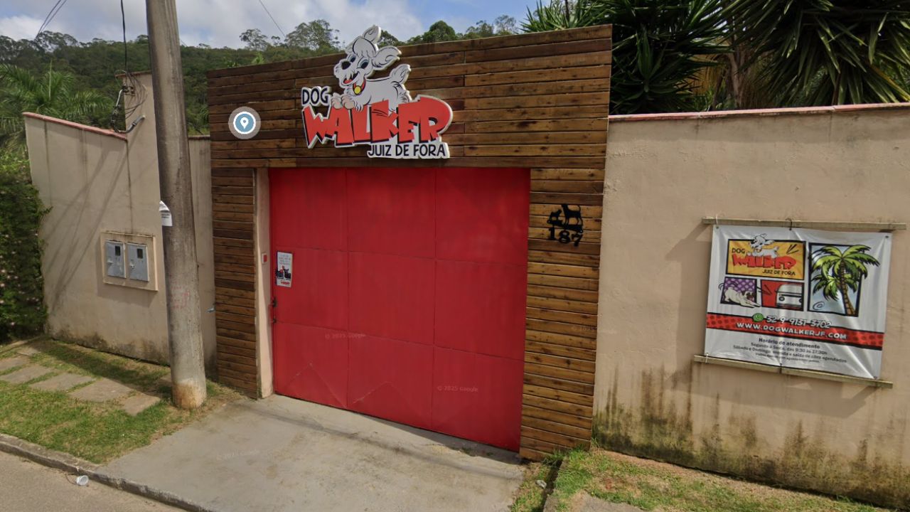 creche prara cachorro Dog Walker
