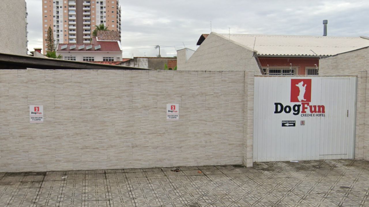 creche para cachorro dogfun