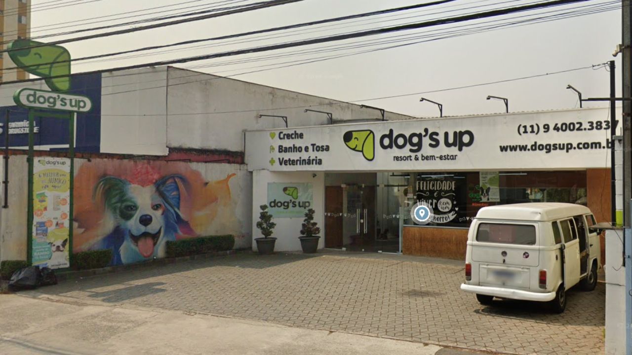 dogs-up