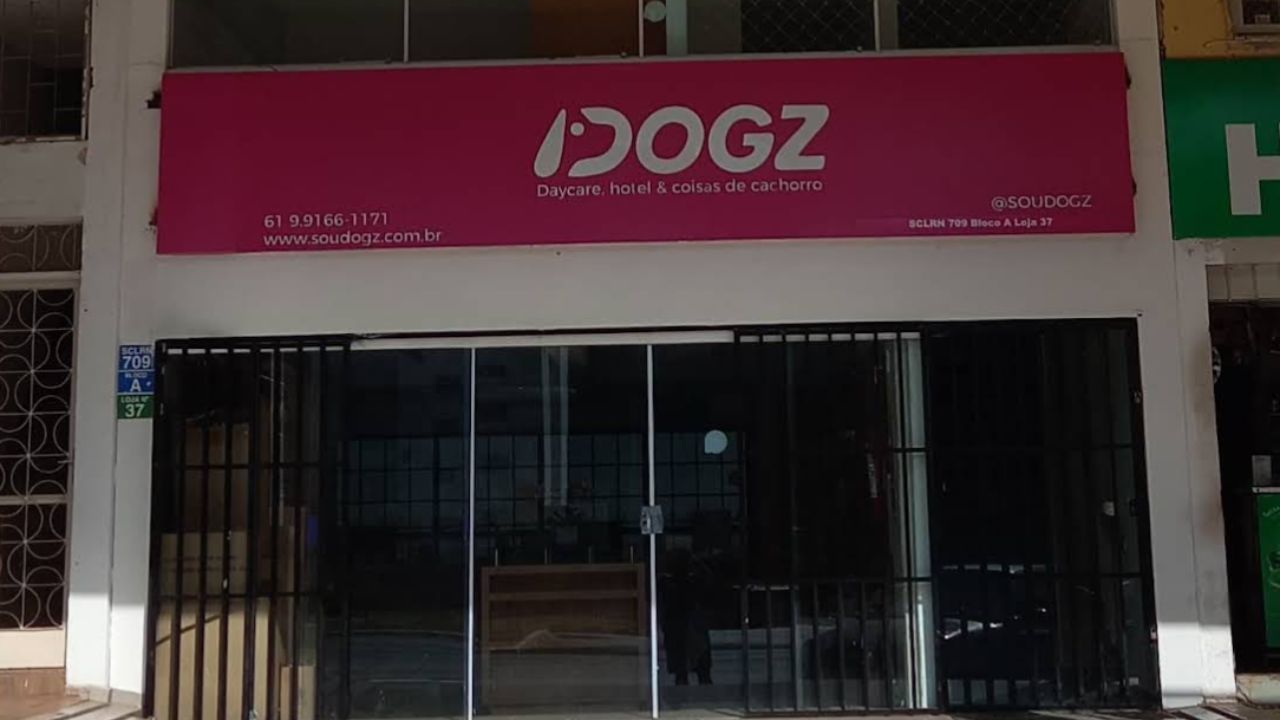 creche para cachorro Dogz