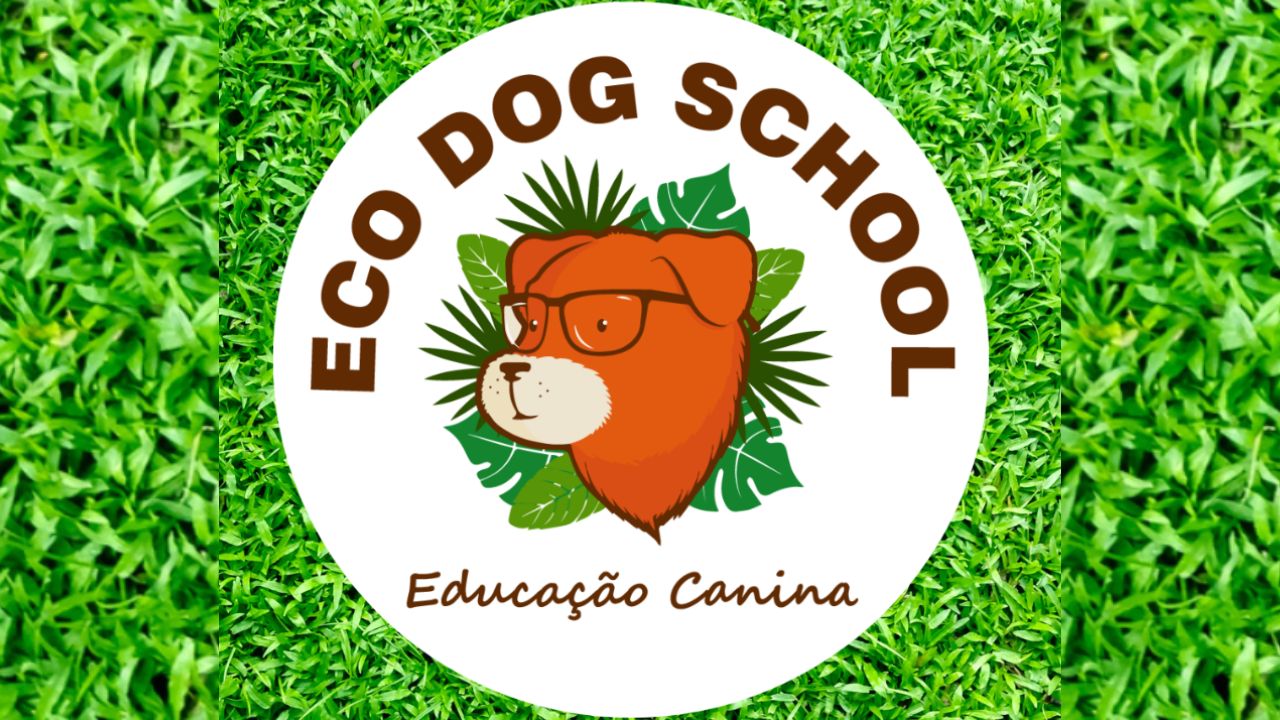 eco-dog-school