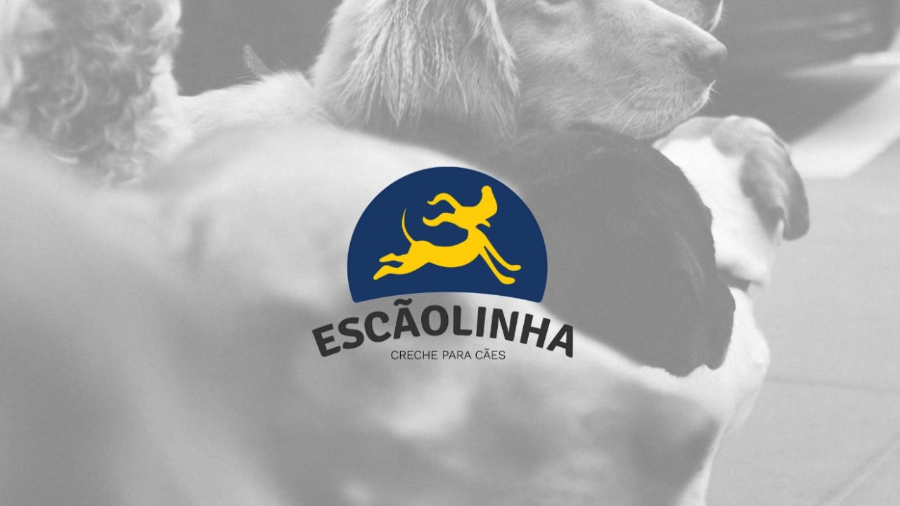 creche para cachorro Escaolinha