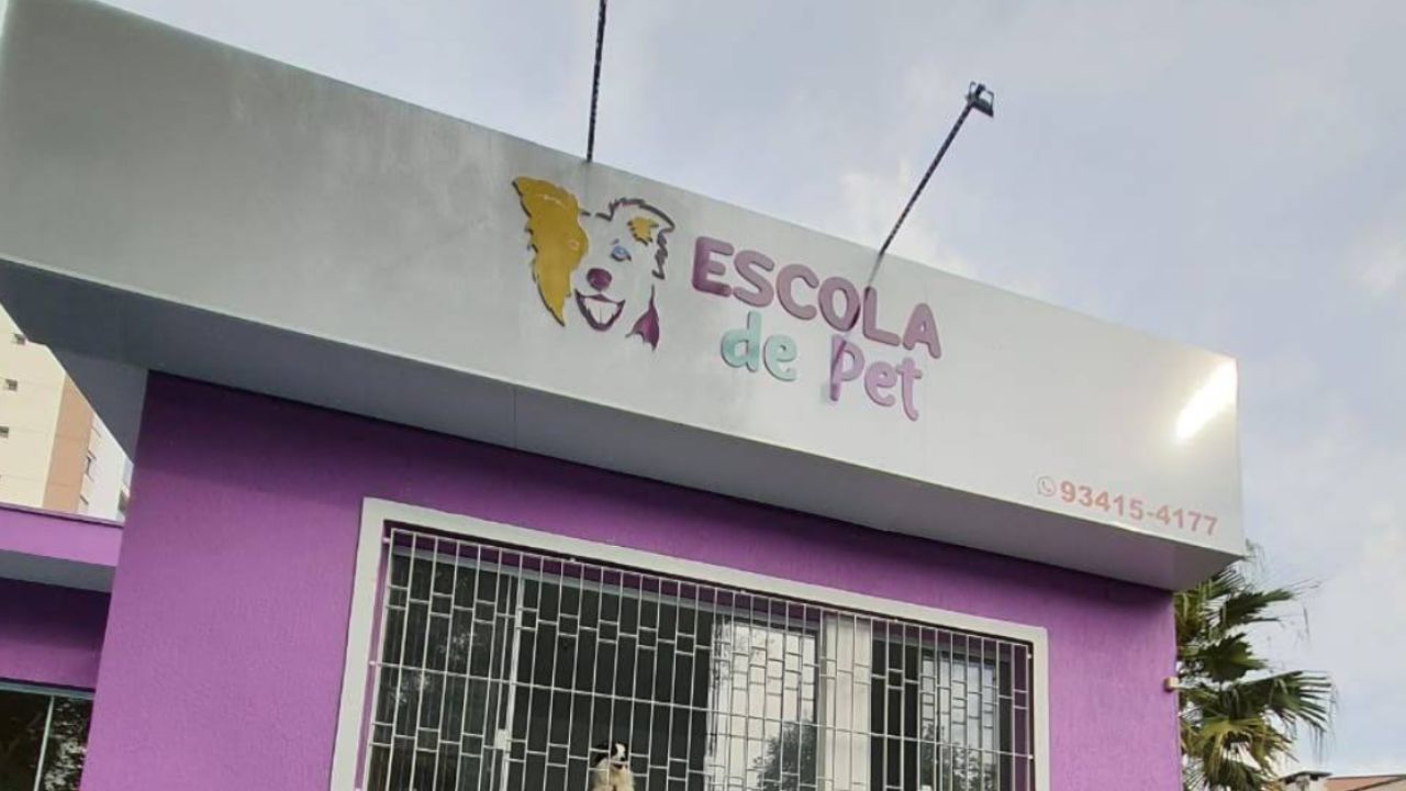 escola-de-pet