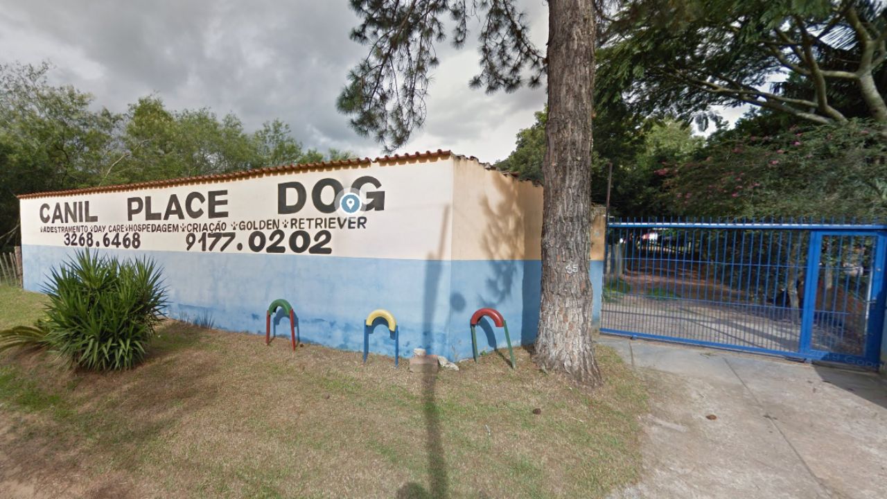 escola-place-dog-hospedagem-canina