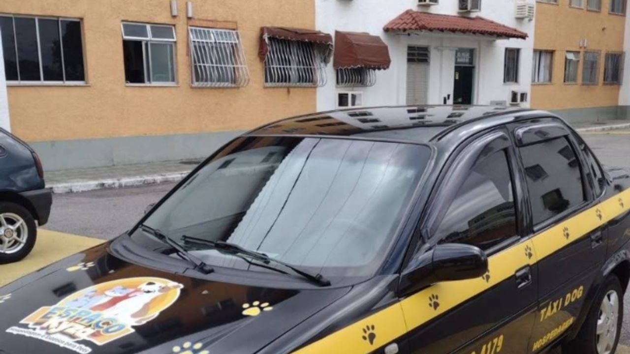 creche para cachorro espaco Kyza