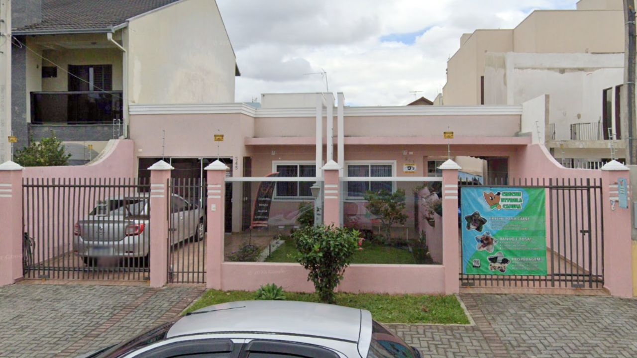 creche para cachorro Estrela canina