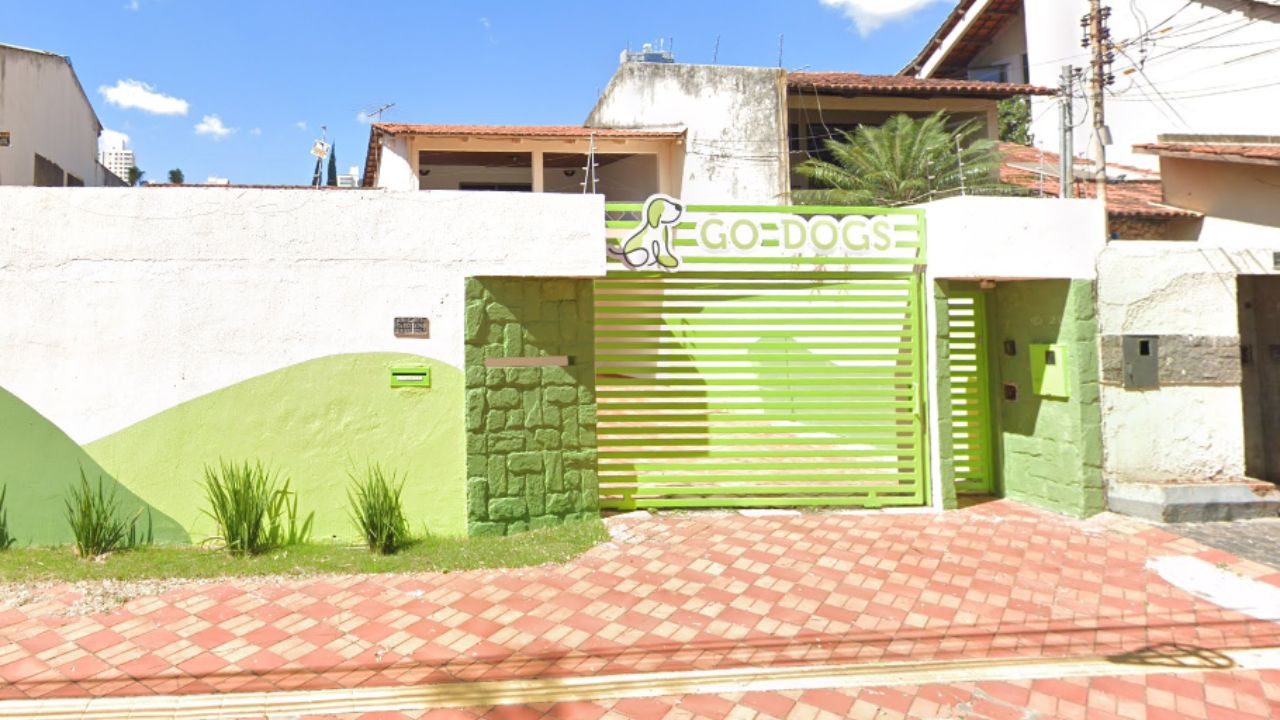 creche para cachorro go-dogs-jardim-america