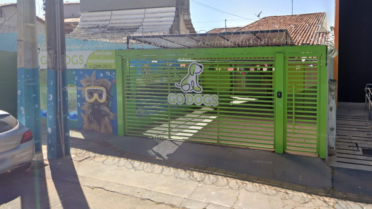 creche para cachorros go-dogs-setor-sul