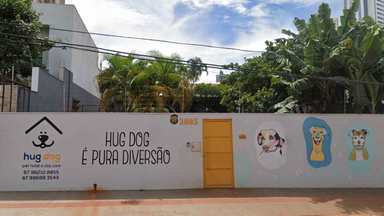 hug-dog
