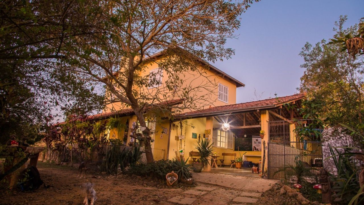 creche para cachorro Ledog