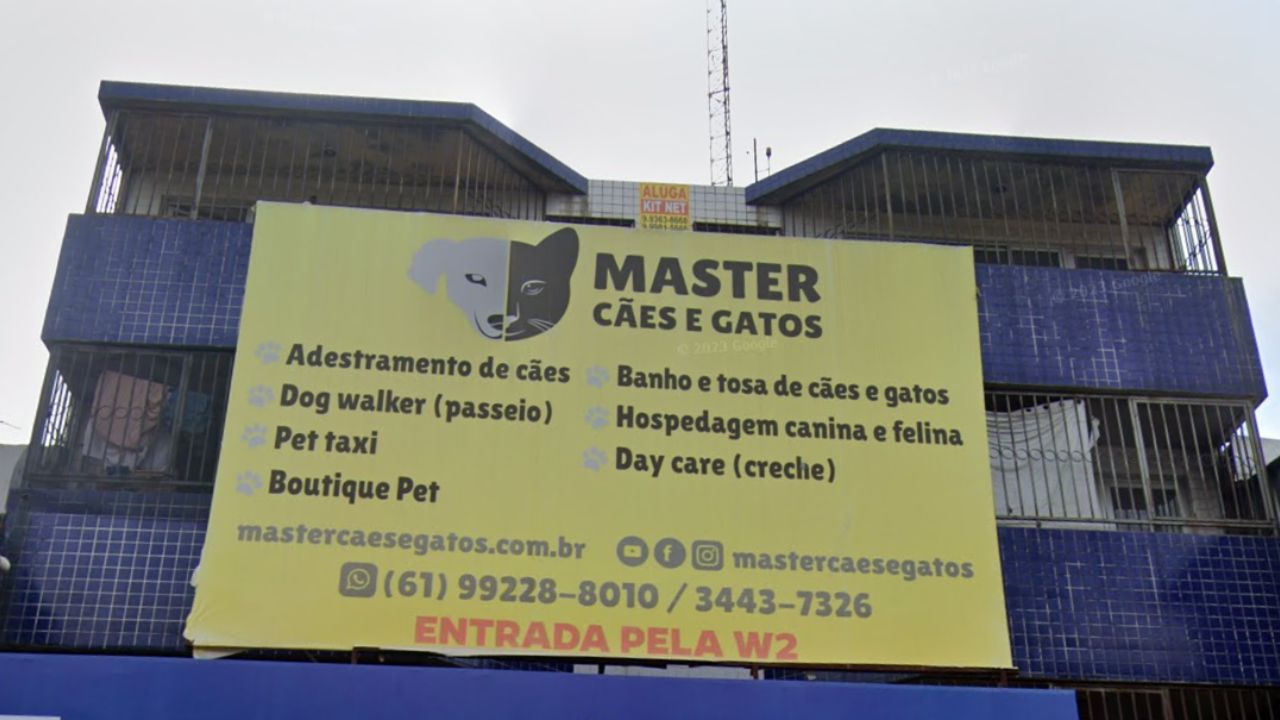creche para cachorro Master caes e gatos