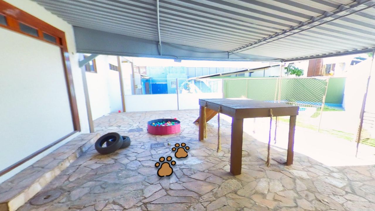 creche para cachorro Miau daycare