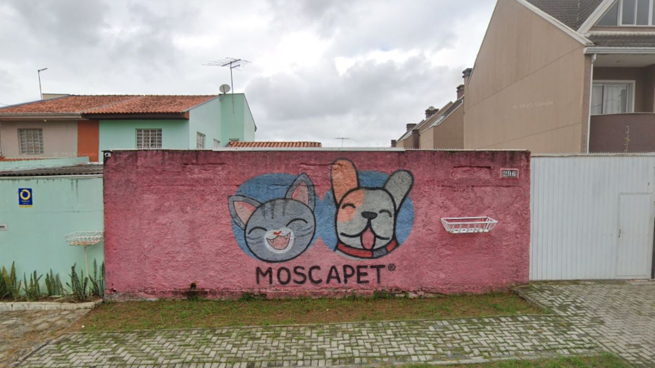 creche para cachorro Moscapet