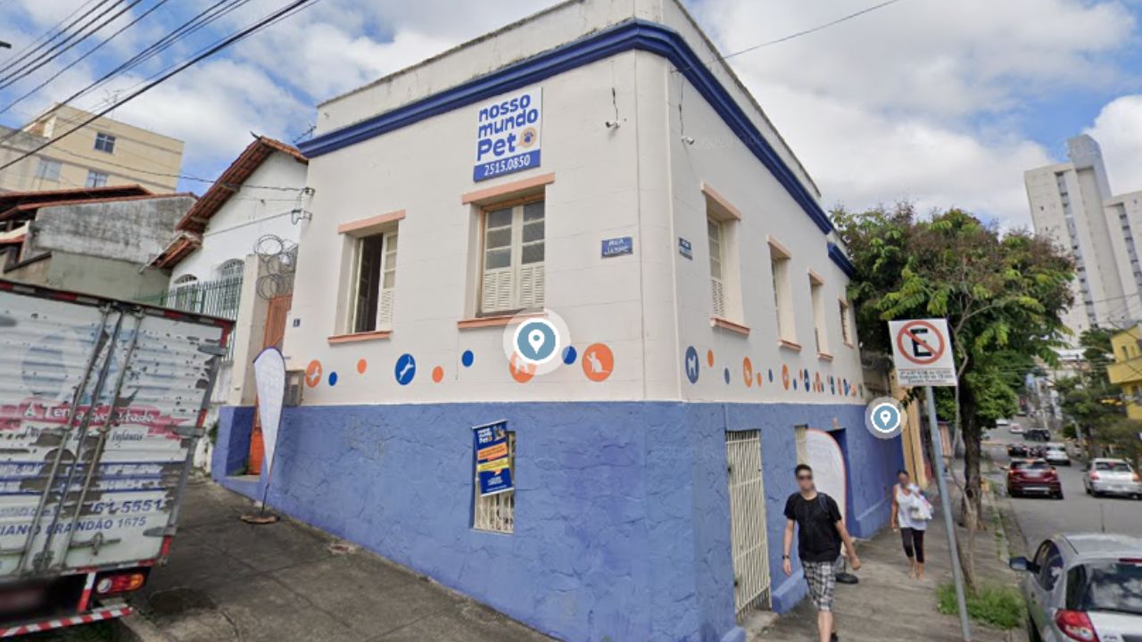 creche para cachorro Nosso mundo pet