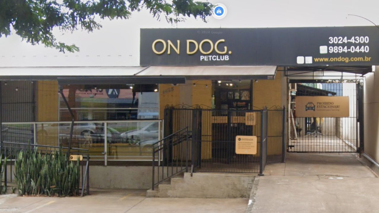 on-dog-pet-club
