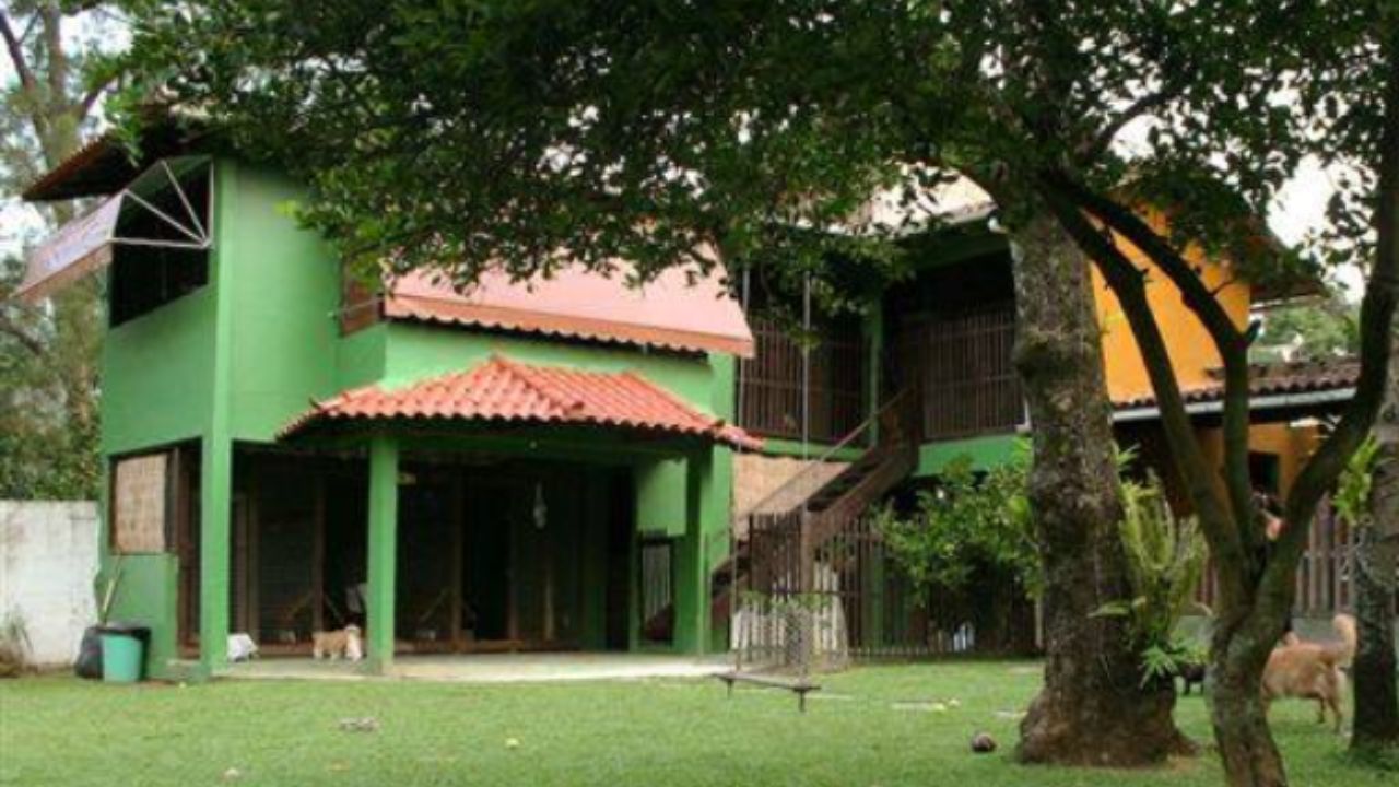 creche para cachorro Paraiso pet hotel