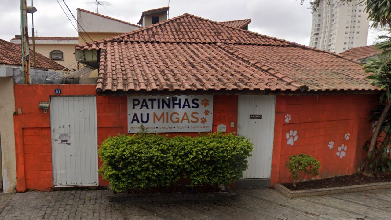 patinha-aumigas