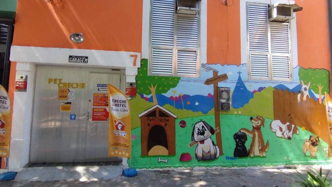 creche para cachorro Pet Creche da Ju