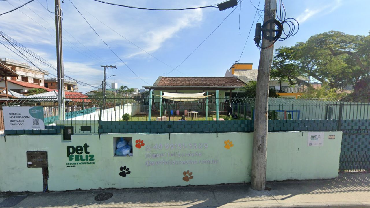 pet-feliz