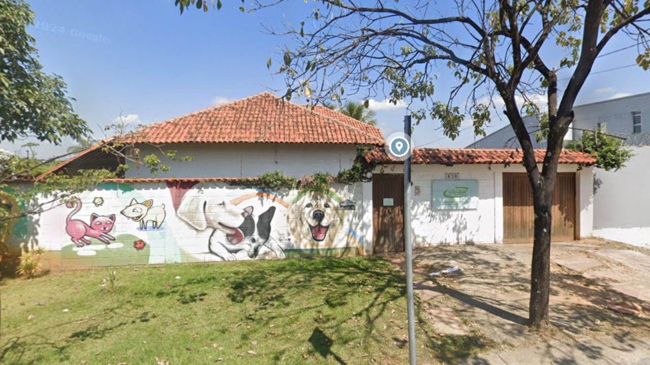 Creche para cachorro Pampulha
