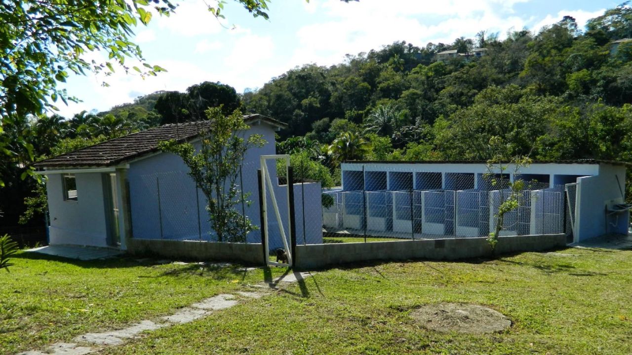 pet-hotel-pendotiba