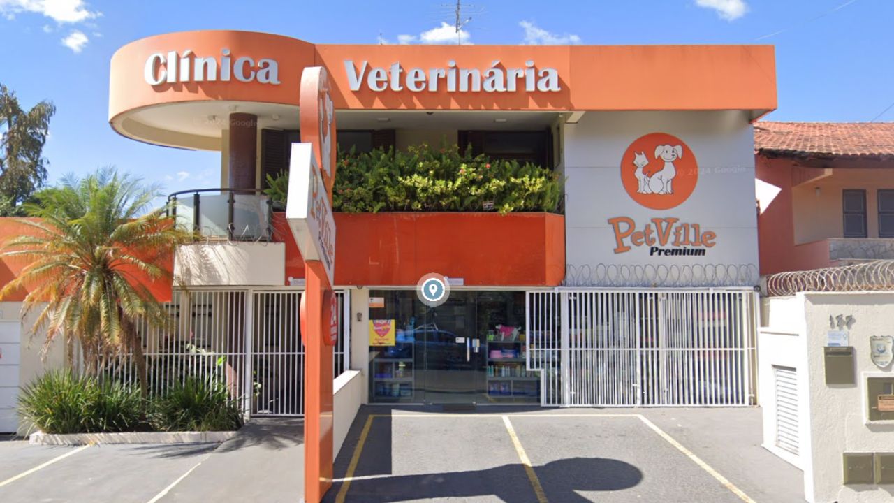 creche para cachorro pet ville premium
