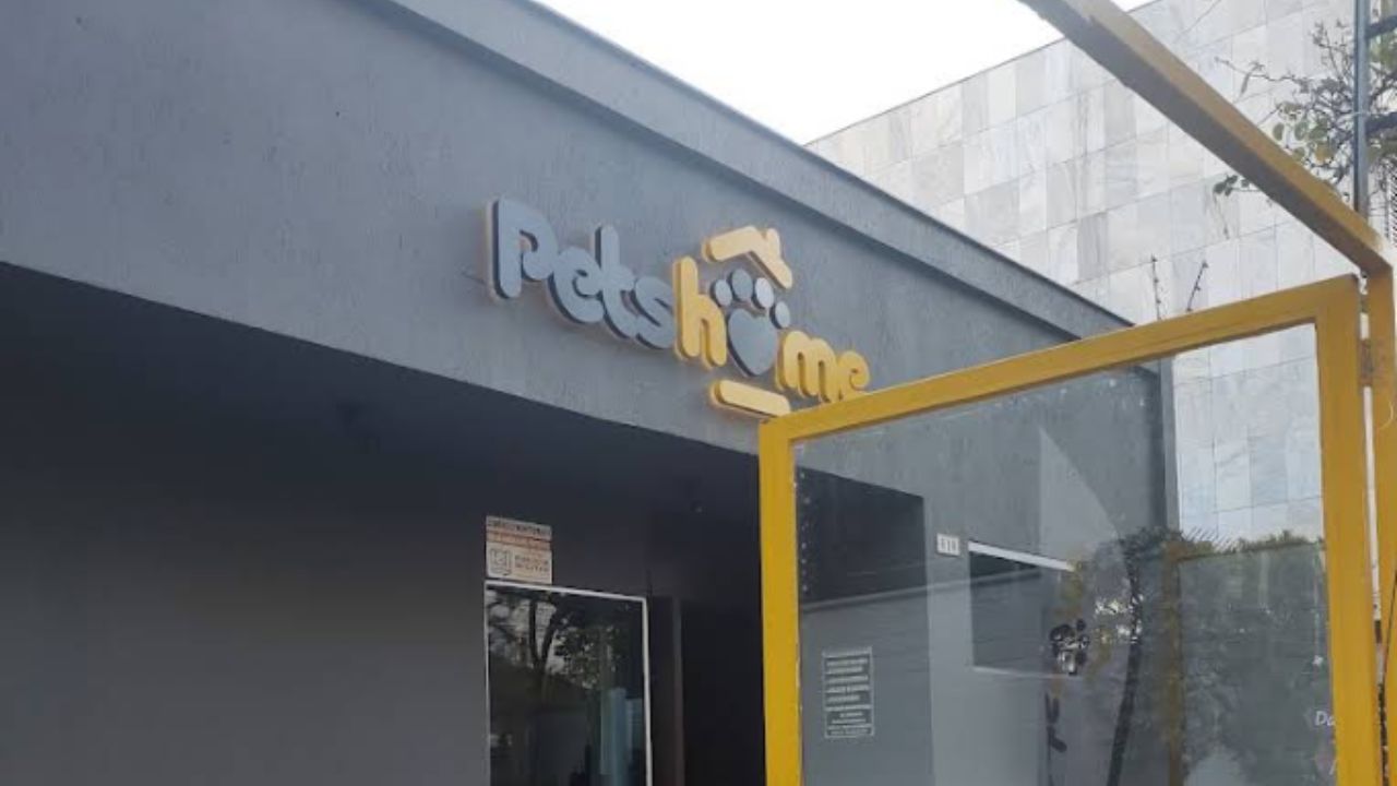 creche para cachorro Pets Home