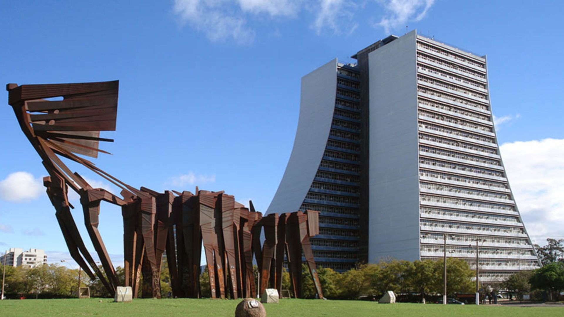 Creche para cachorro em Porto Alegre - RS