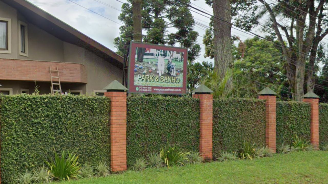 creche para cachorro Pousa pet hotel
