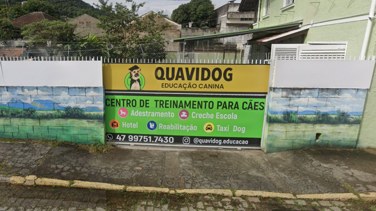 quavidog