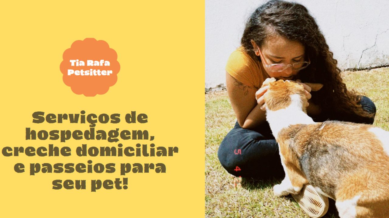 creche para cachorro Rafaela petsitter