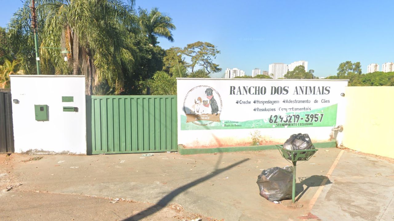 creche para cachorro Rancho dos Animais