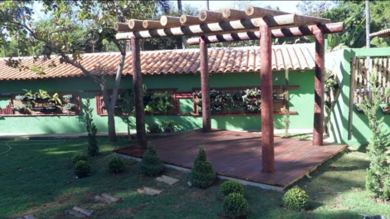 creche para cachorro Recanto