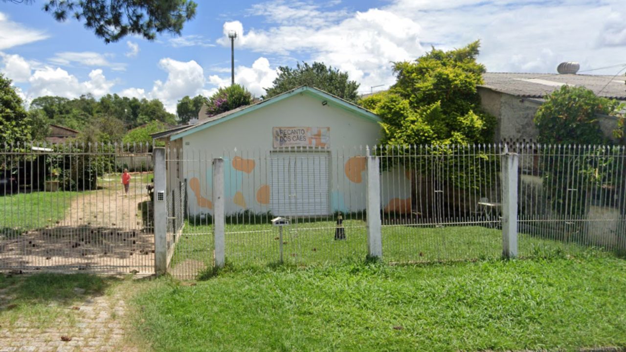 creche para cachorro Recanto dos caes