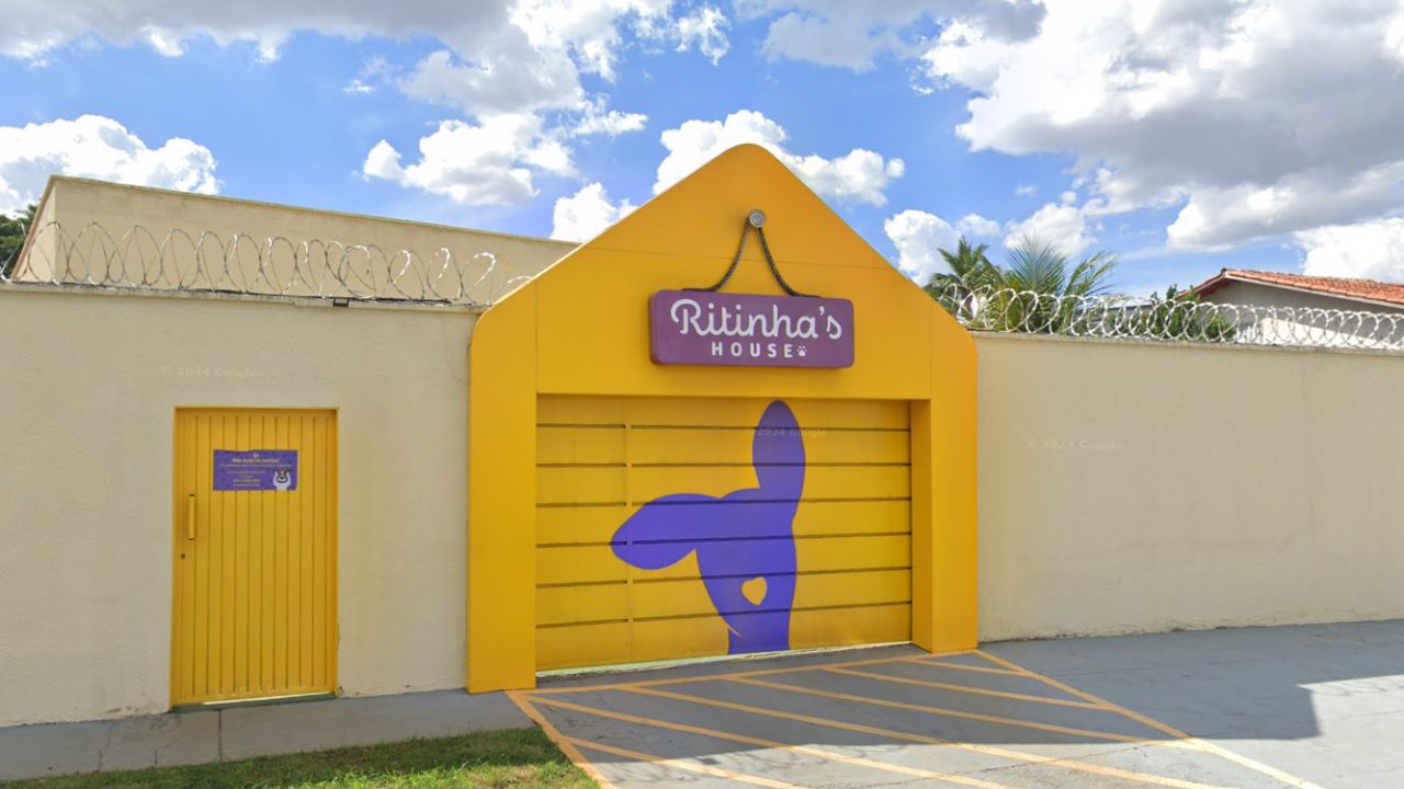 creche para cachorro Ritinha's house