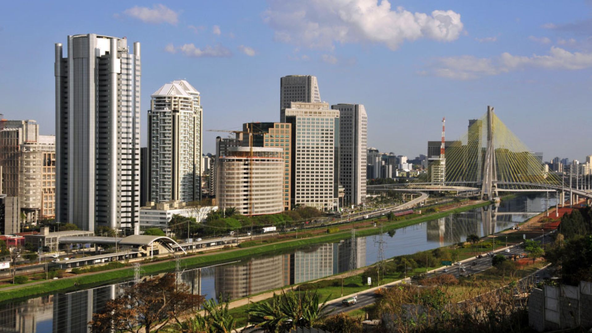 Creche para cachorro em São Paulo