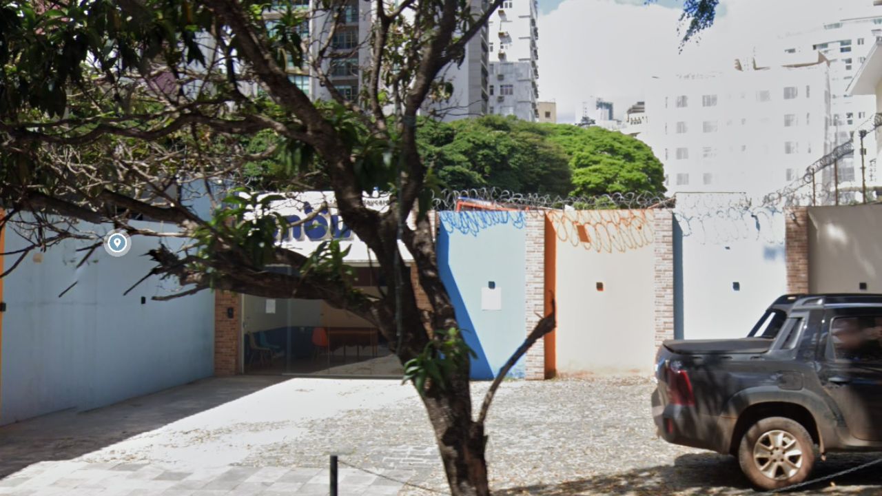creche para cachorro snouts