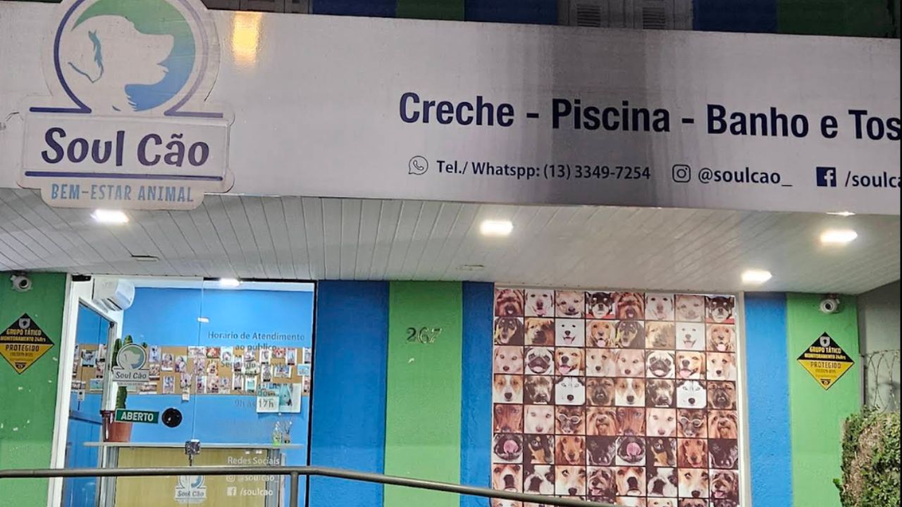 creche para cachorro Soulcao