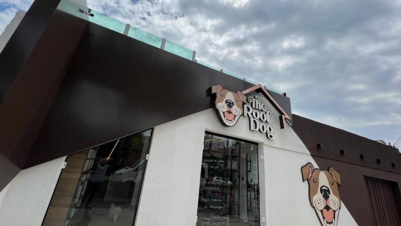 creche para cachorro The roof dog