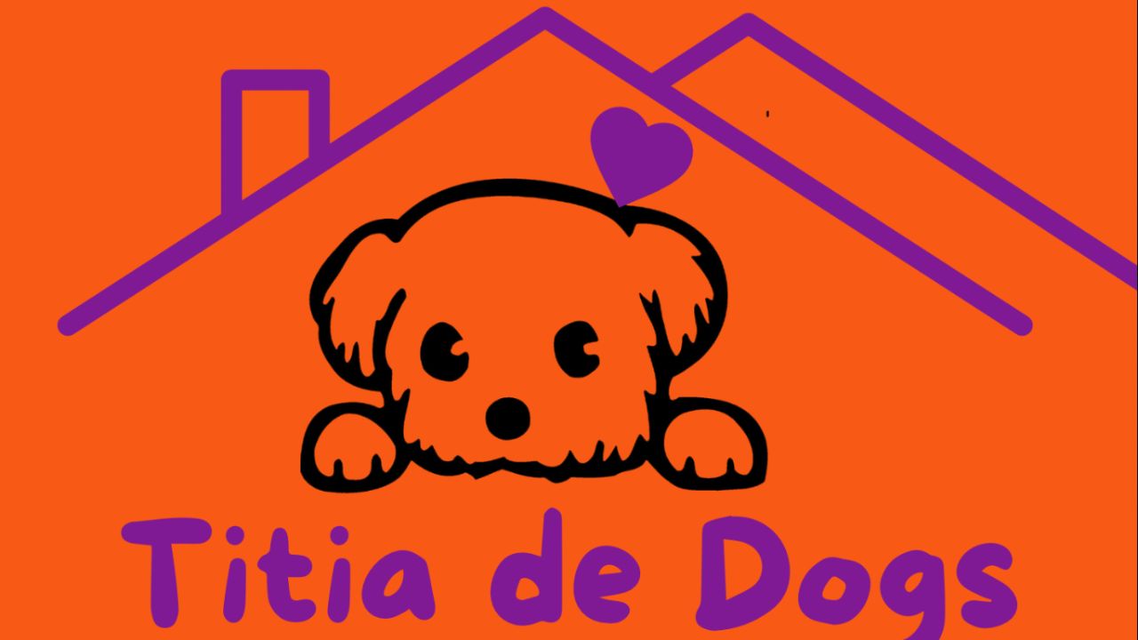titia-de-dogs