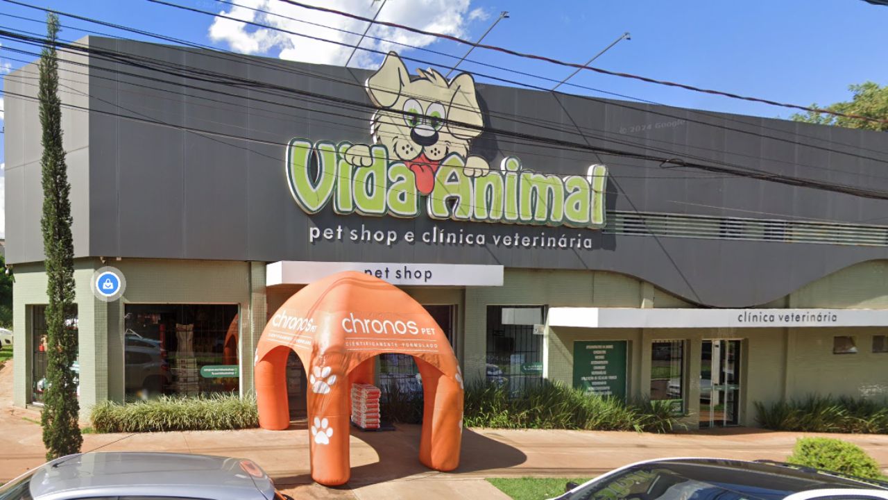 vida-animal