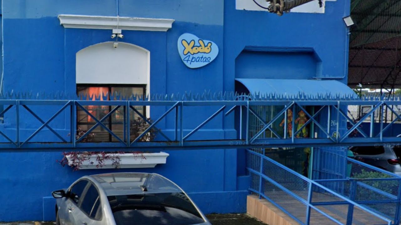 xodo4patas