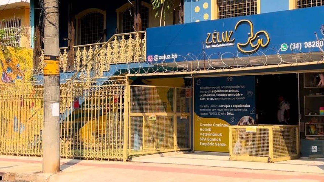 creche para cachorro Zeluz